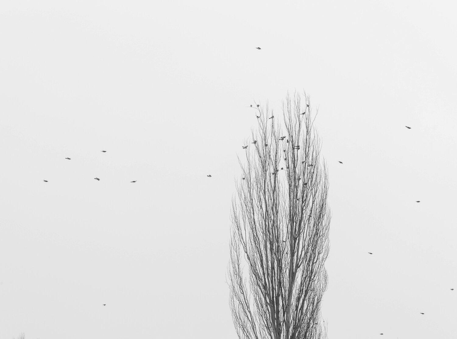 Photo #13810841