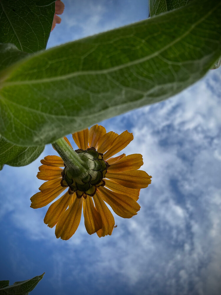 Photograph by Екатерина Букаева