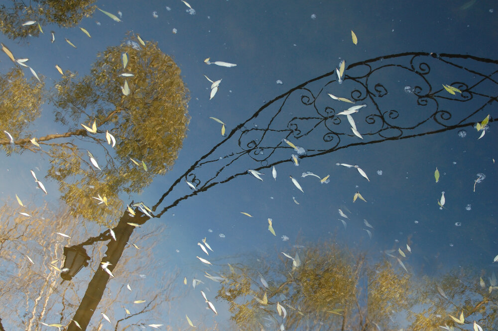 Photograph by Владислав Рубцов