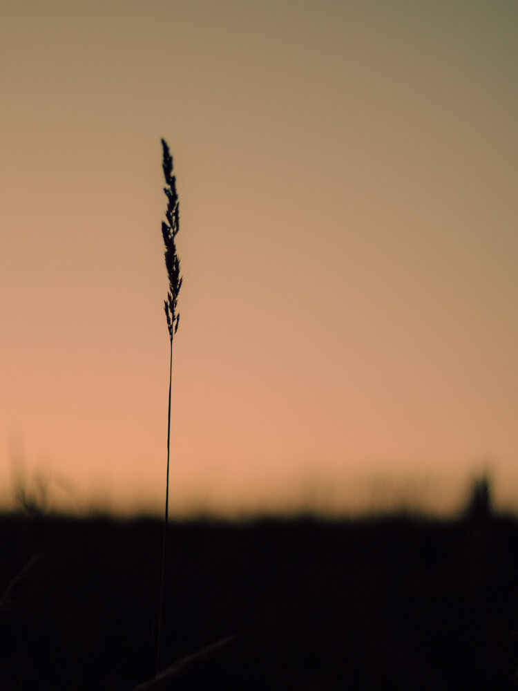 Photograph by Екатерина Кирьянова