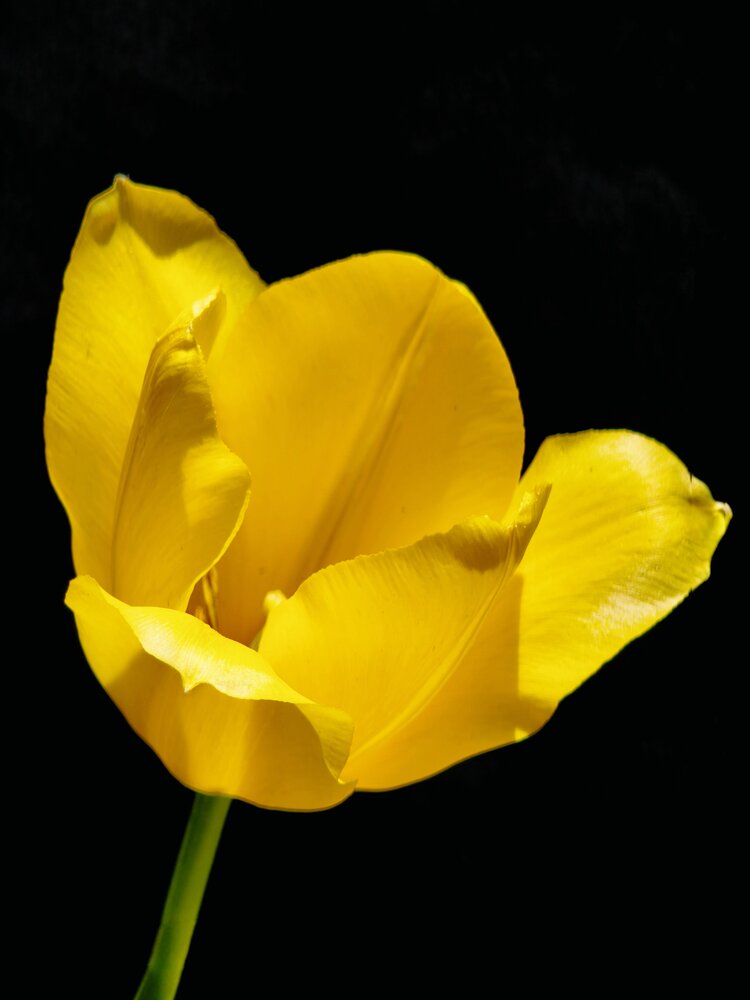 Photograph by Ирина Строкова
