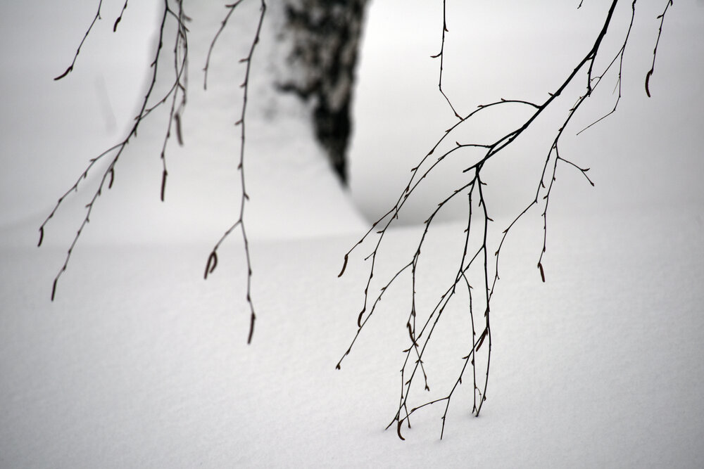 Photograph by Владислав Рубцов