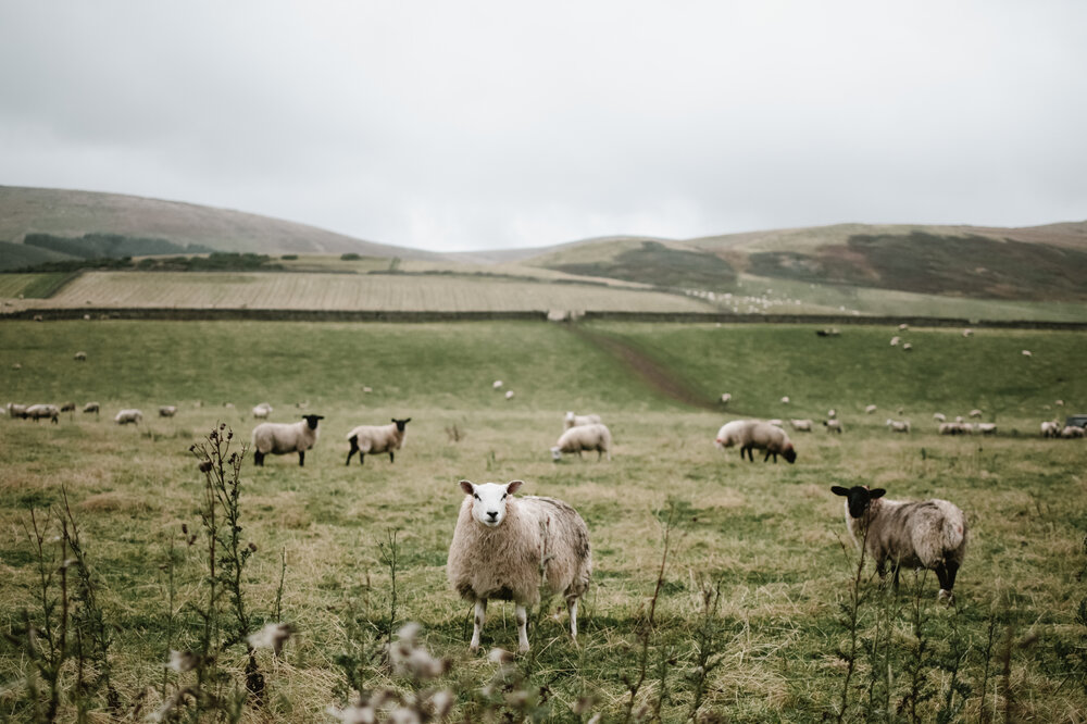 Photo #13810950