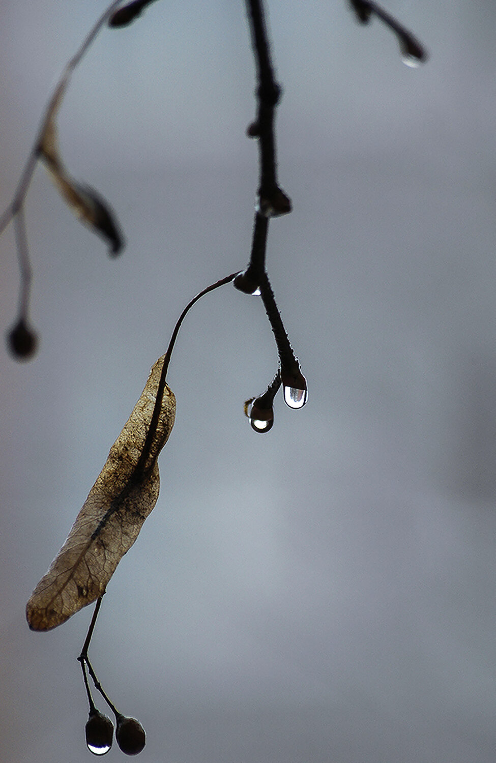 Photo #13810970