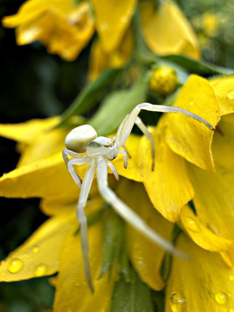 Photograph by Елена Чулюнина