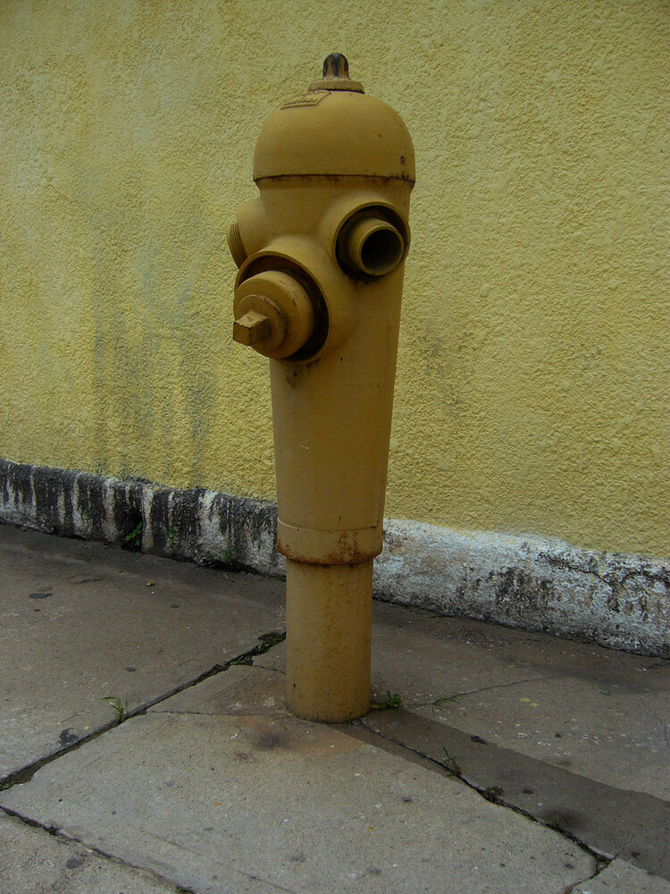Photograph by Fabio Eduardo Godoy Ángel