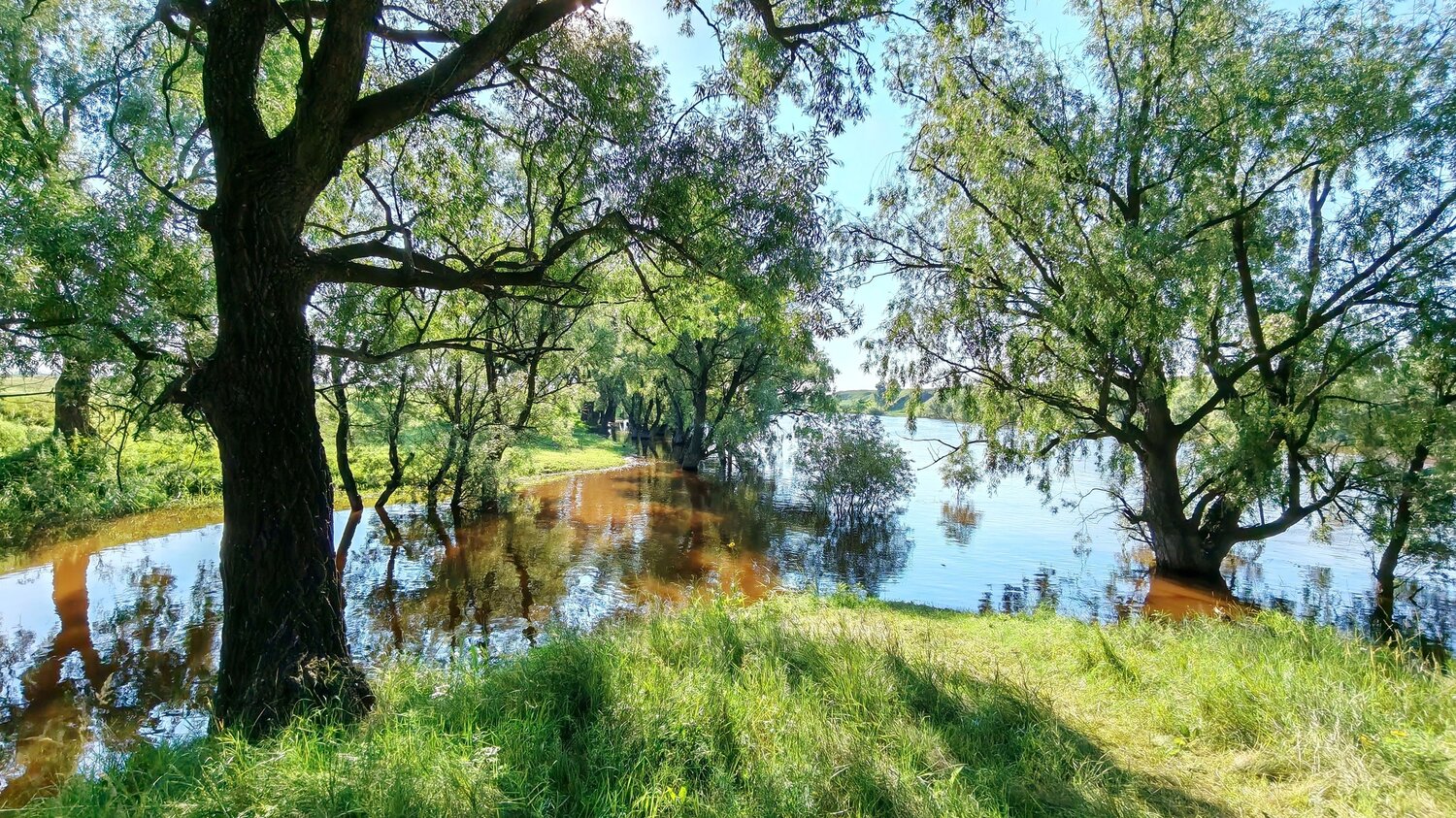 Река Омь