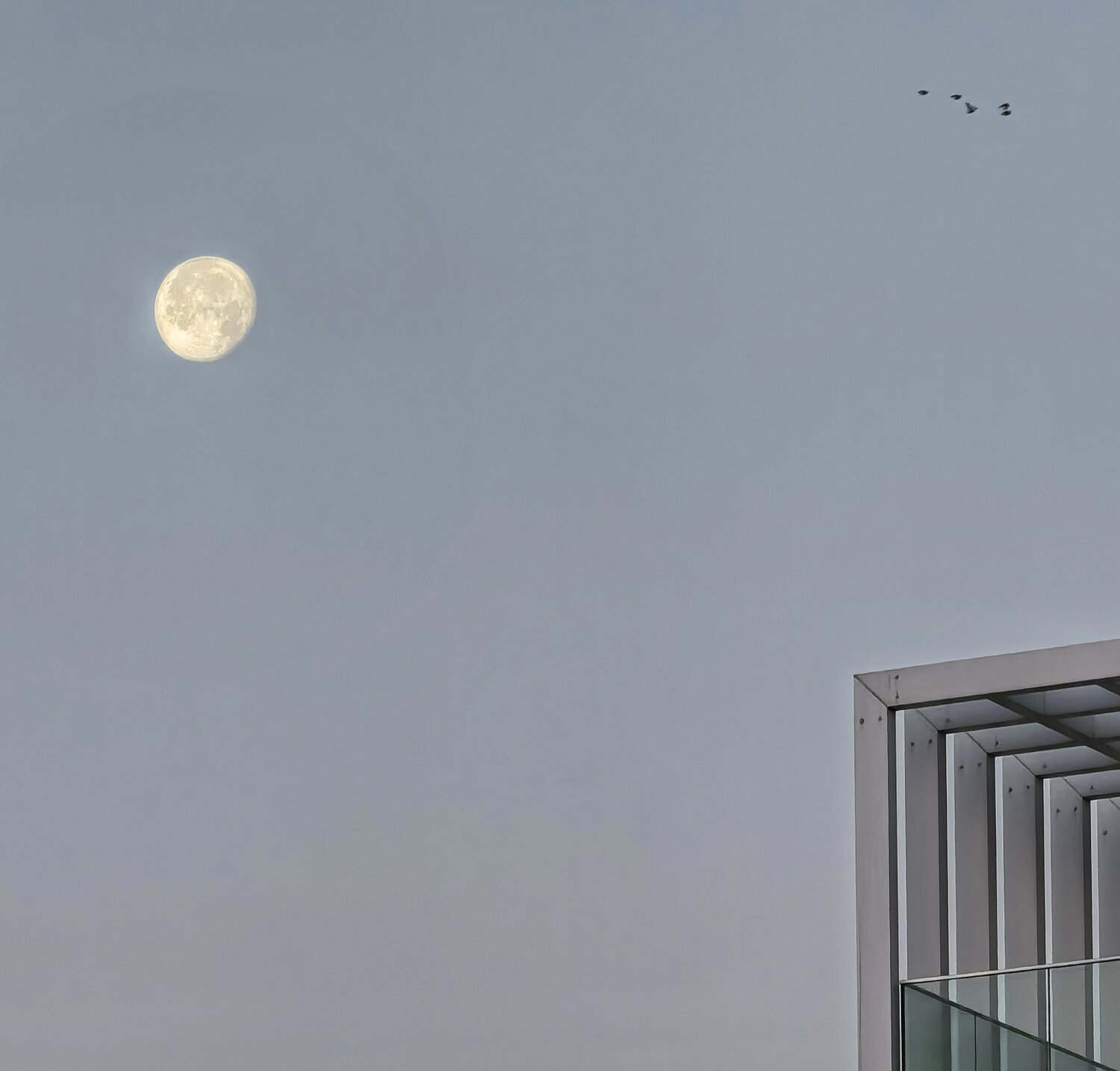 Photo #13811097