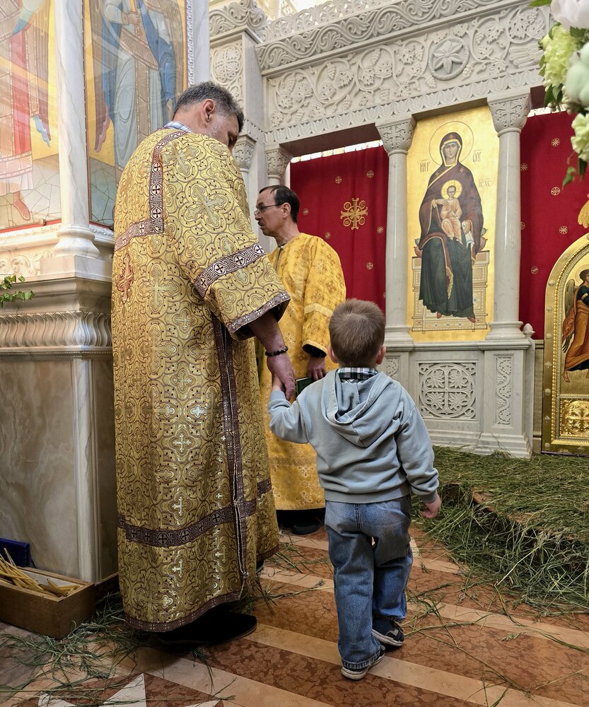 Фотография автора Ольга Меньшенина