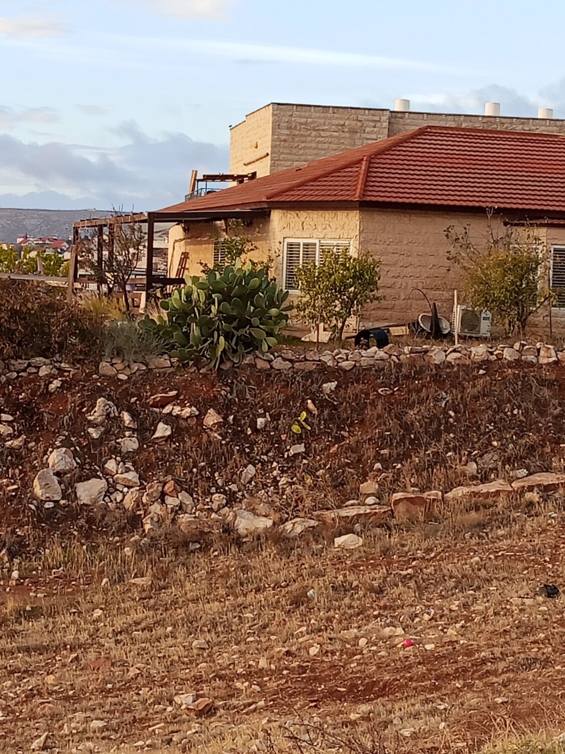 Photo #13811187