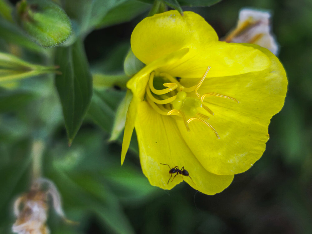 Photograph by Наталья Веселкина