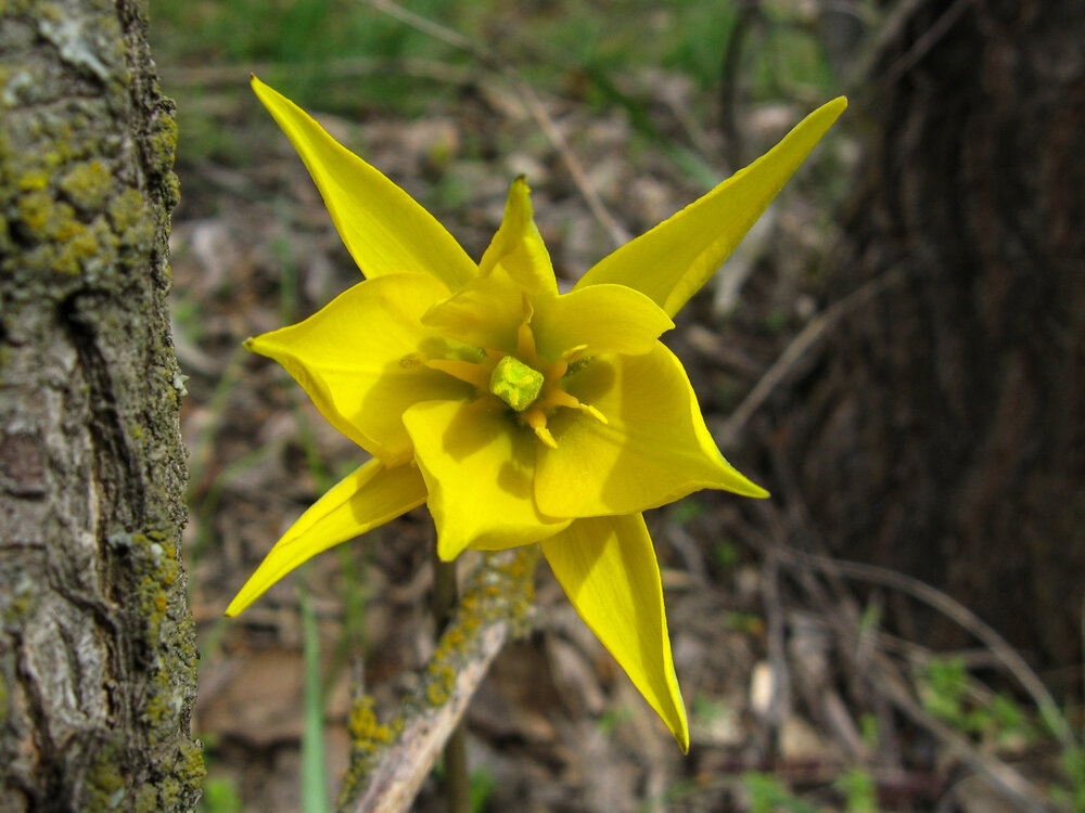Photograph by Наталья Веселкина