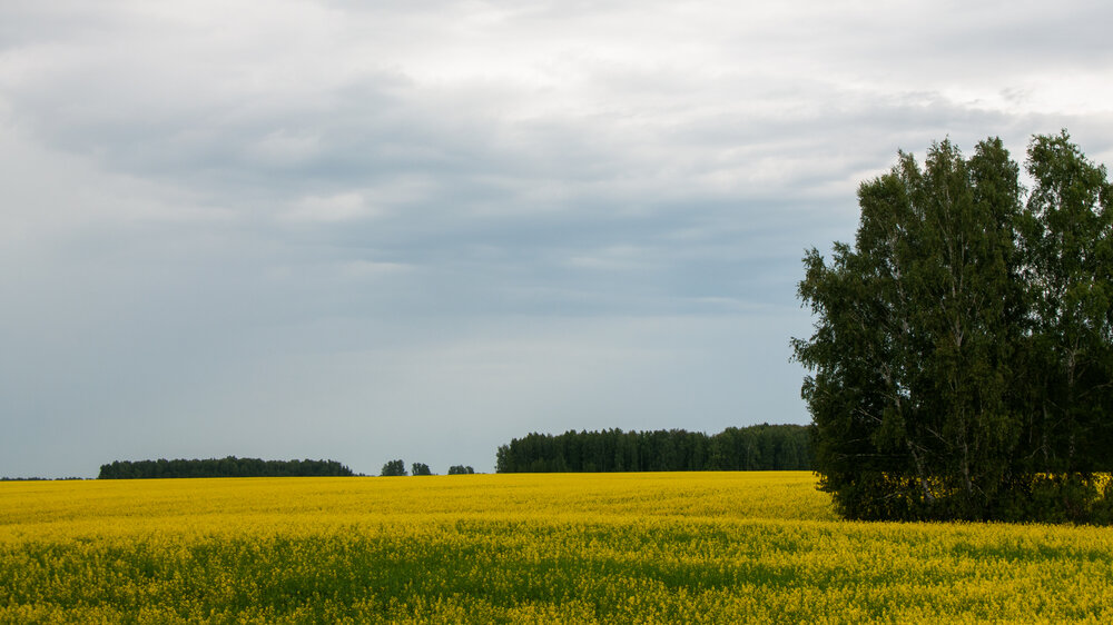 Photograph by Наталья Веселкина