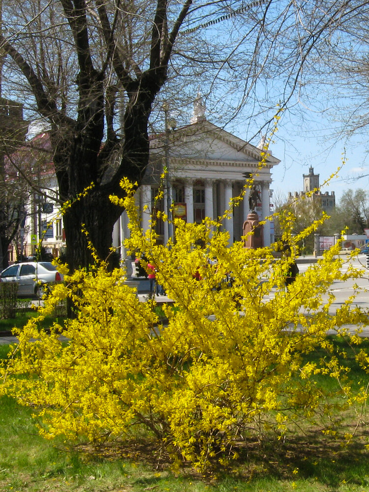 Photograph by Наталья Веселкина