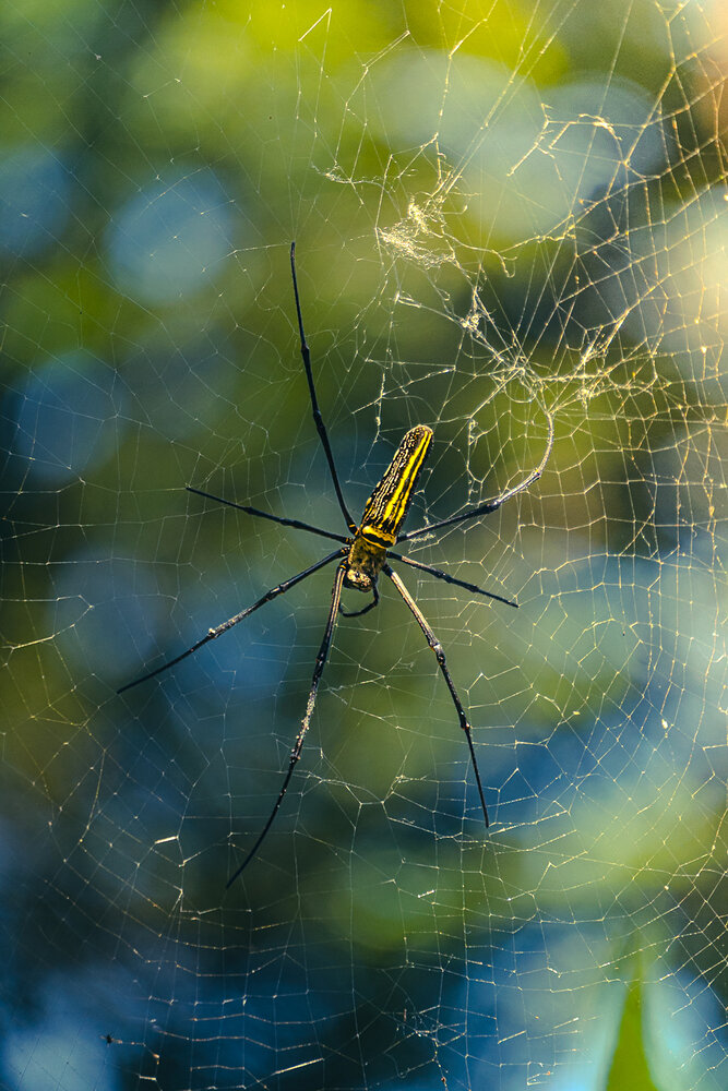 Photograph by Abhijith A S