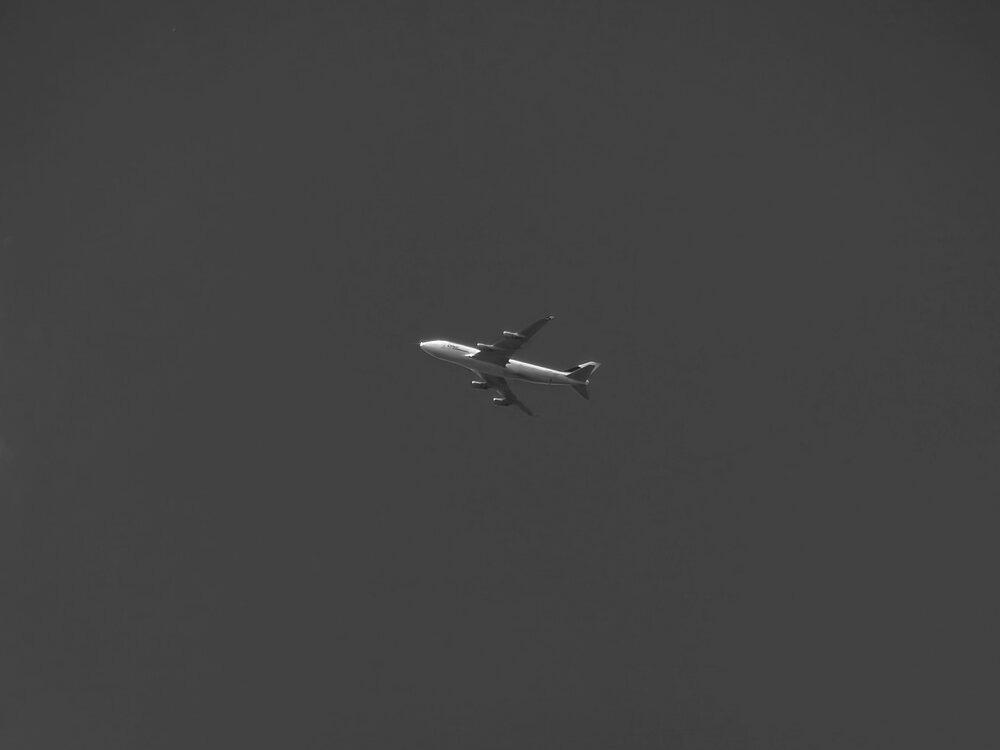 Photo #13811273