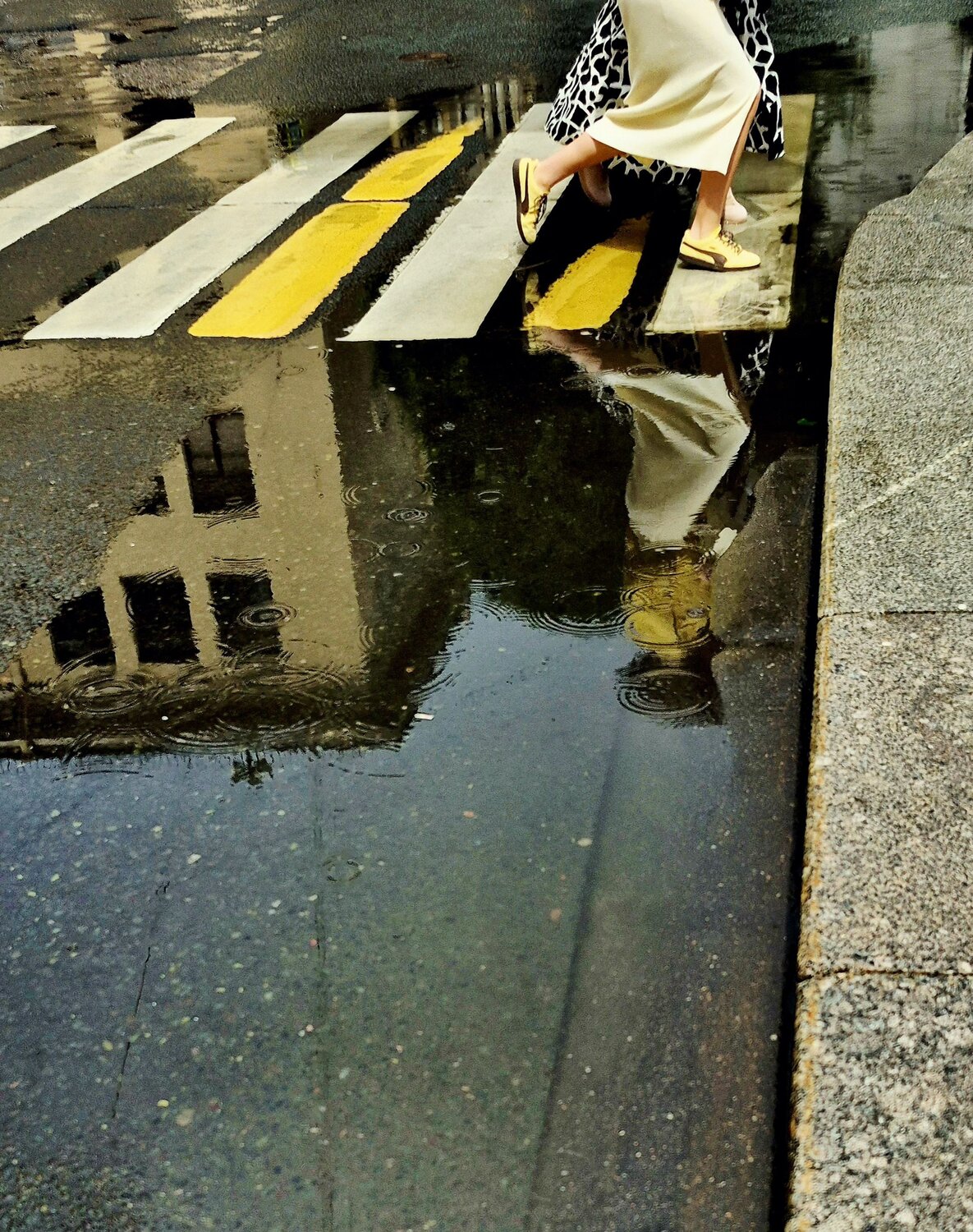 Photo #13811278