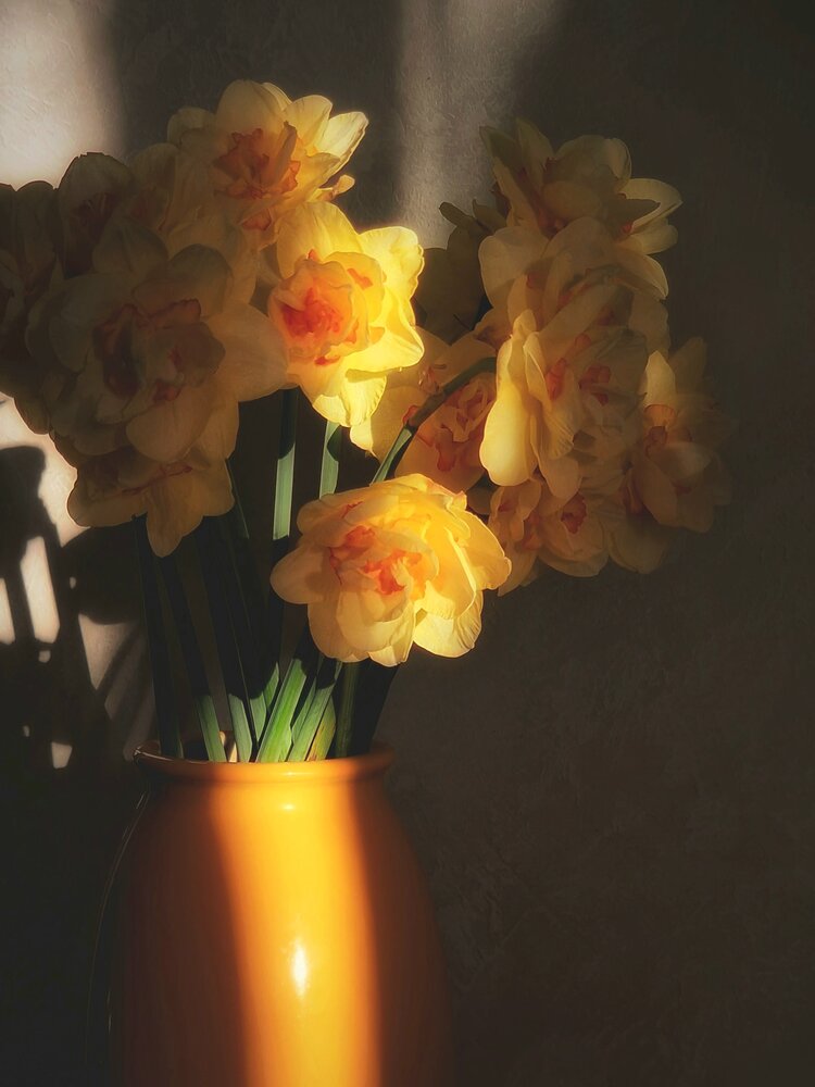 Photograph by Vera Nefedova