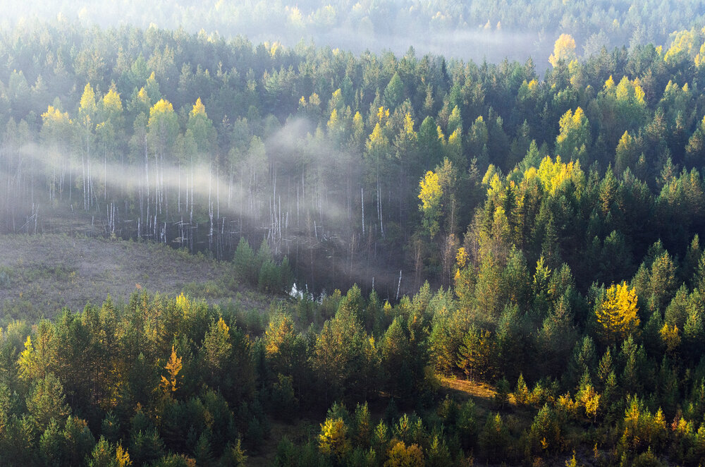 Photograph by Воинков Виктор