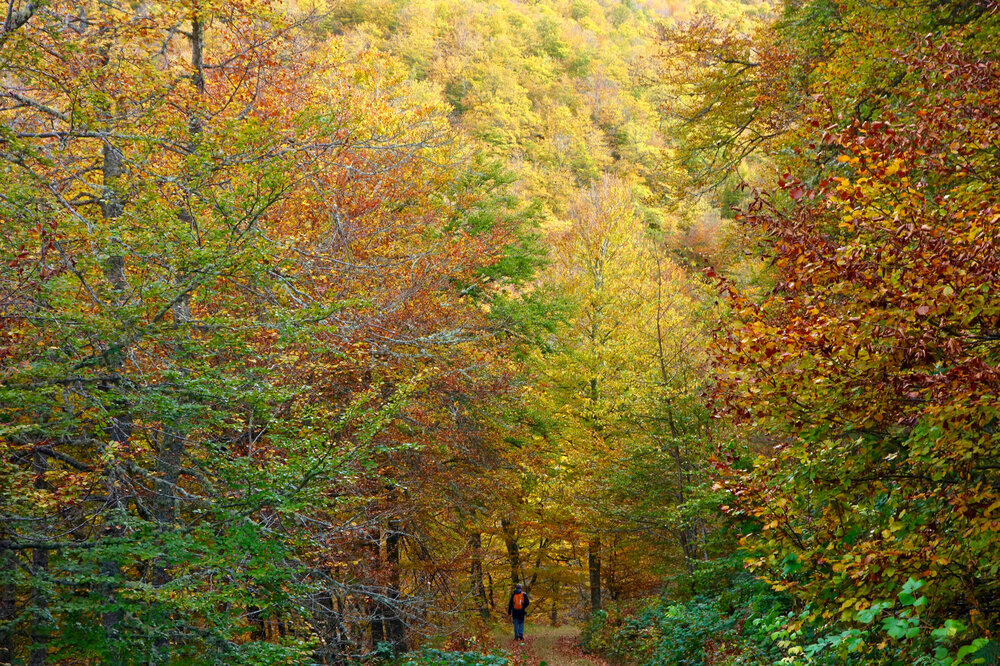 Photograph by Carmen Meló Mansanet