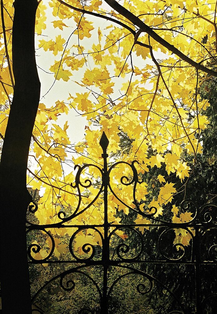 Photograph by Fantomas