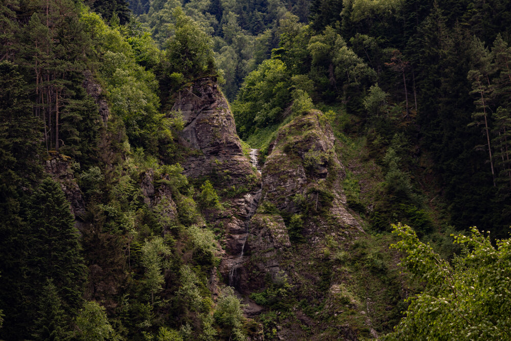 Фотография автора Мария Степина