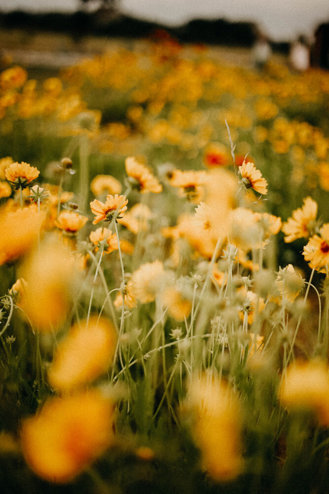 Photograph by Светлана Малькевич