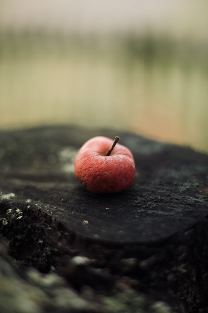 Photograph by Светлана Малькевич
