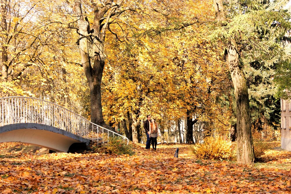 Photograph by Лариса Ременьчик