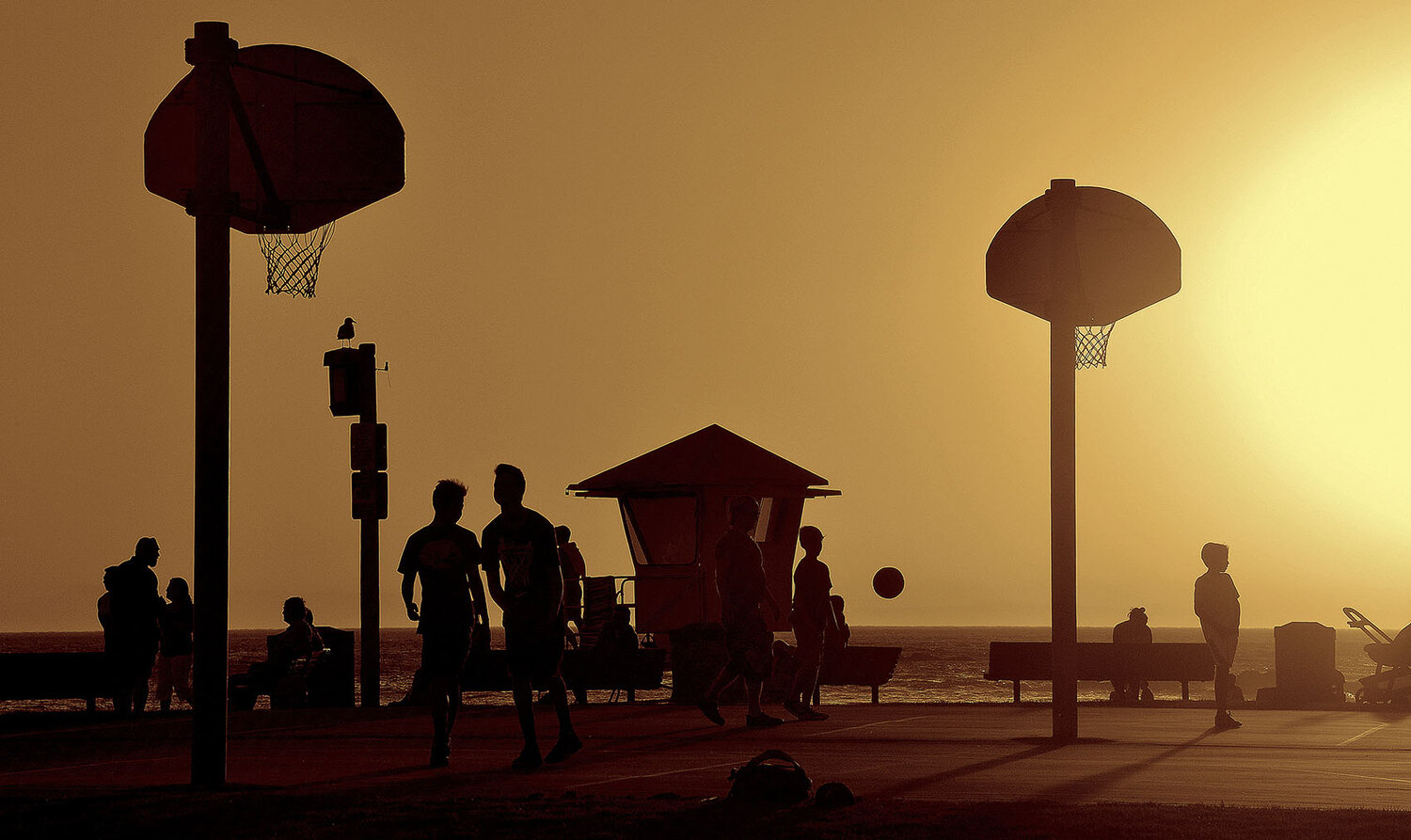 Photo #13811534