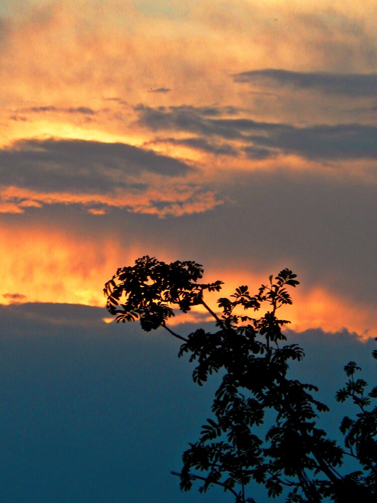 Photograph by Дарья Глухова