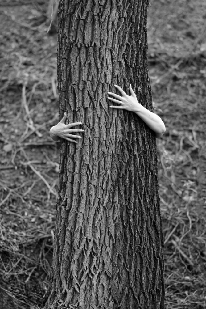 Photograph by Ирина Ященко