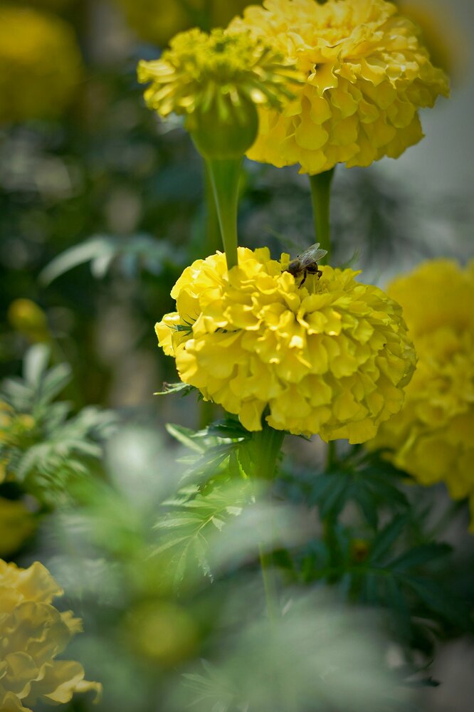 Photograph by Дарья Глухова