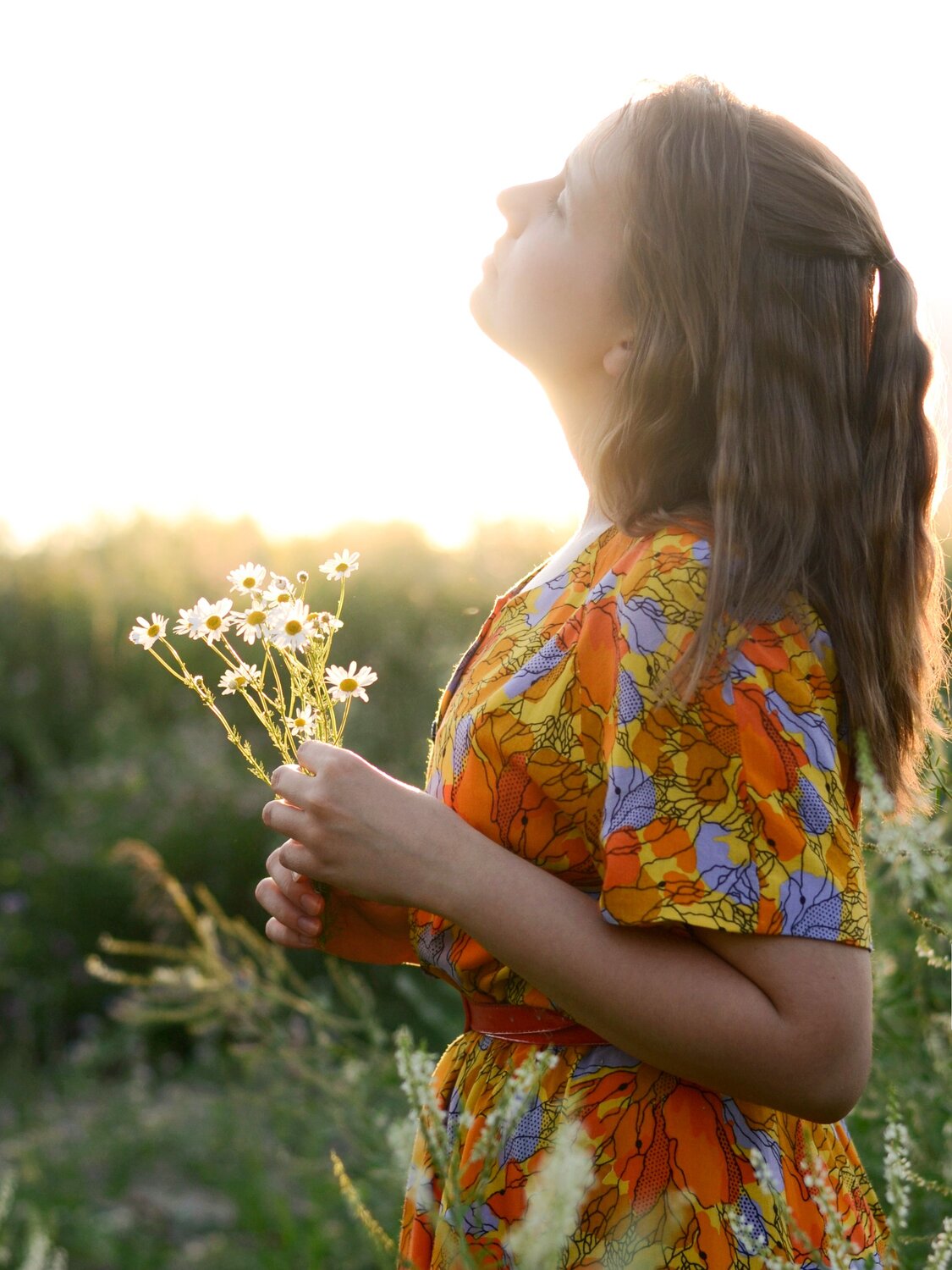 Photo #13811636