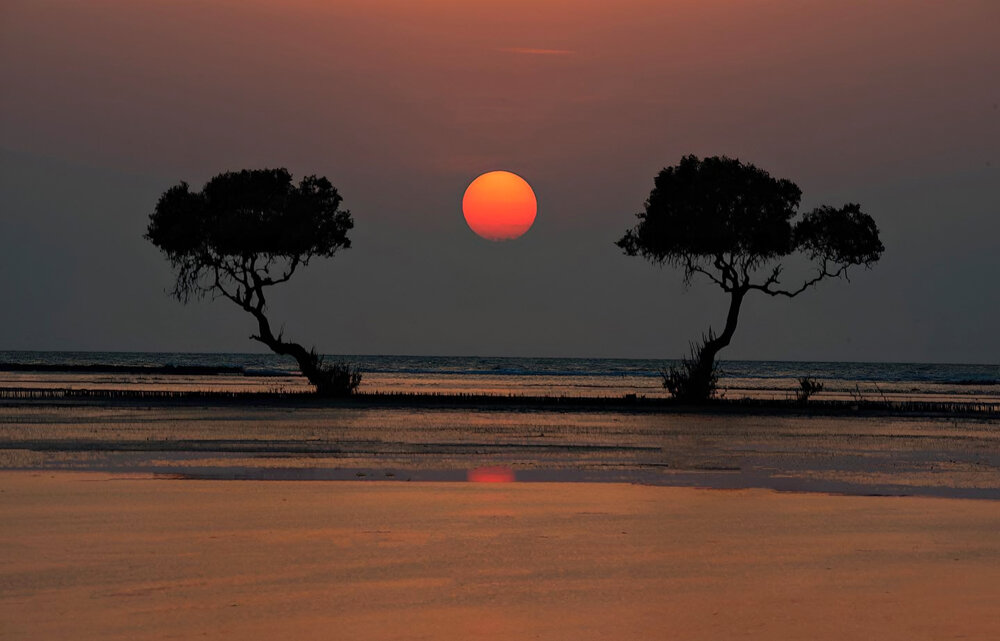 Sunset Embrace