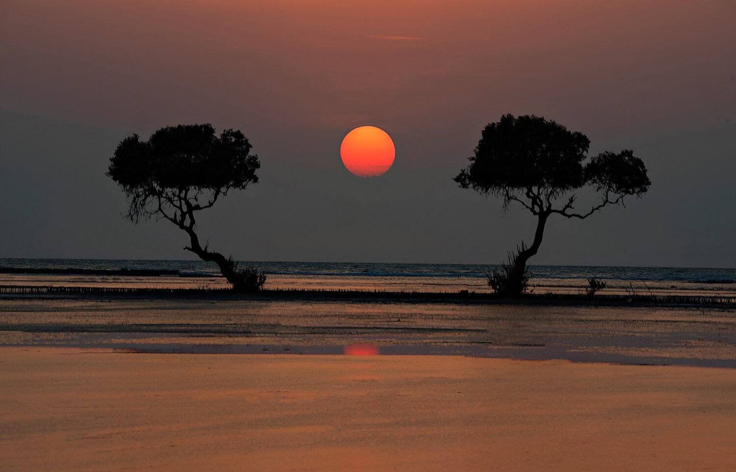 Sunset Embrace