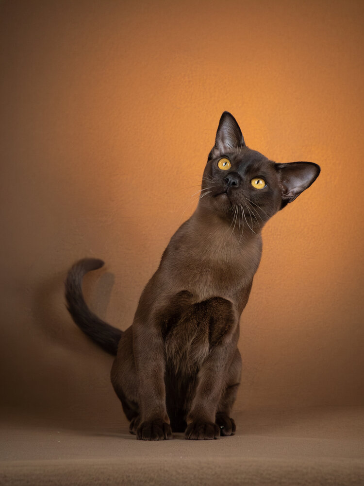 Photograph by Dina Damotseva