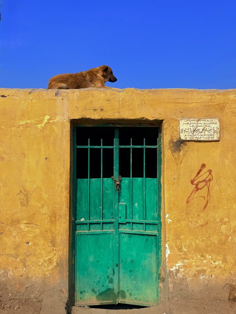 Photograph by Галина Матвеева