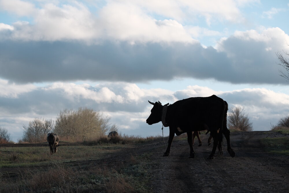 Photograph by Яна Истоцкая