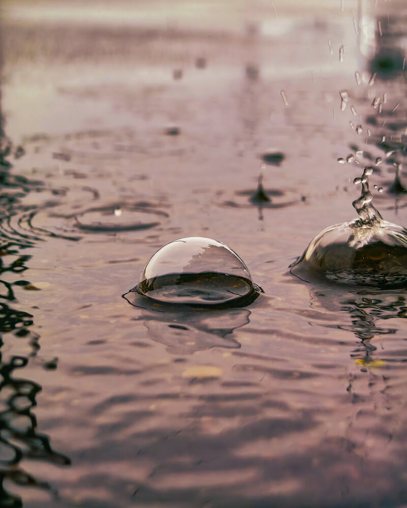 Fragile Worlds