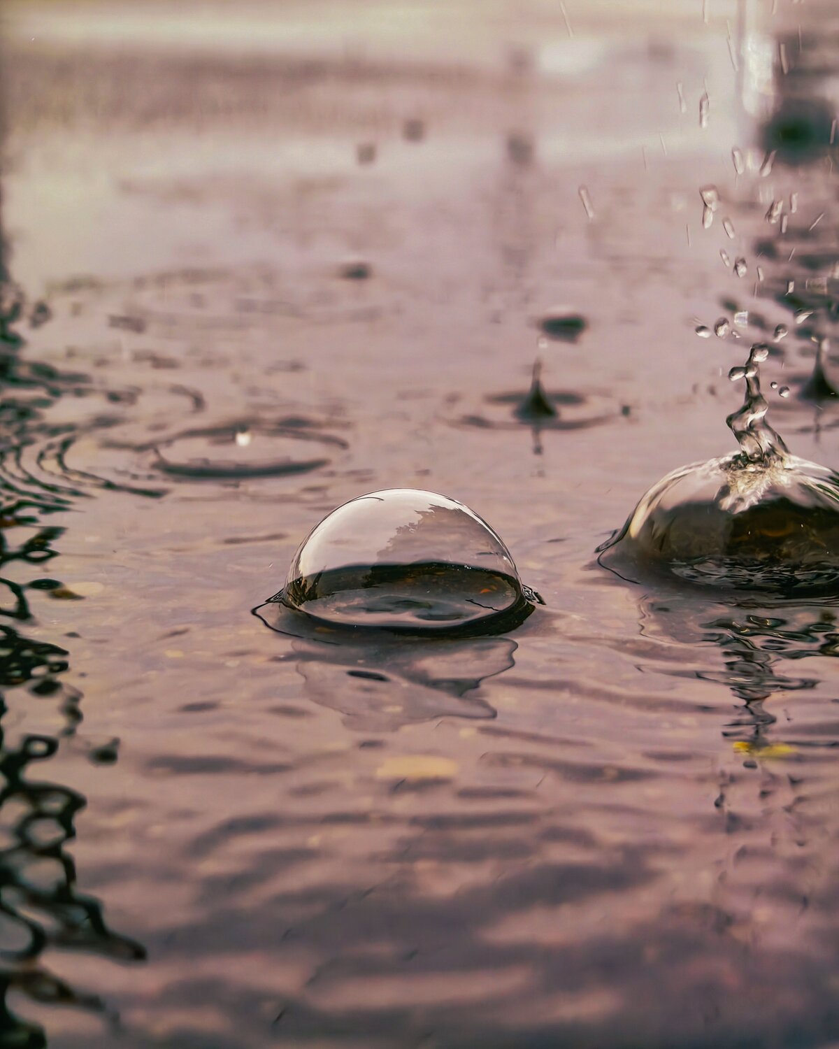 Fragile Worlds