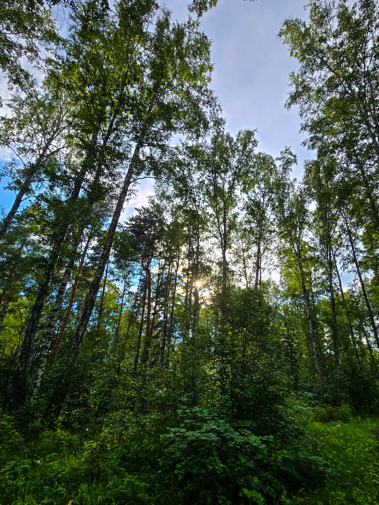 Photograph by Ольга Дёмина