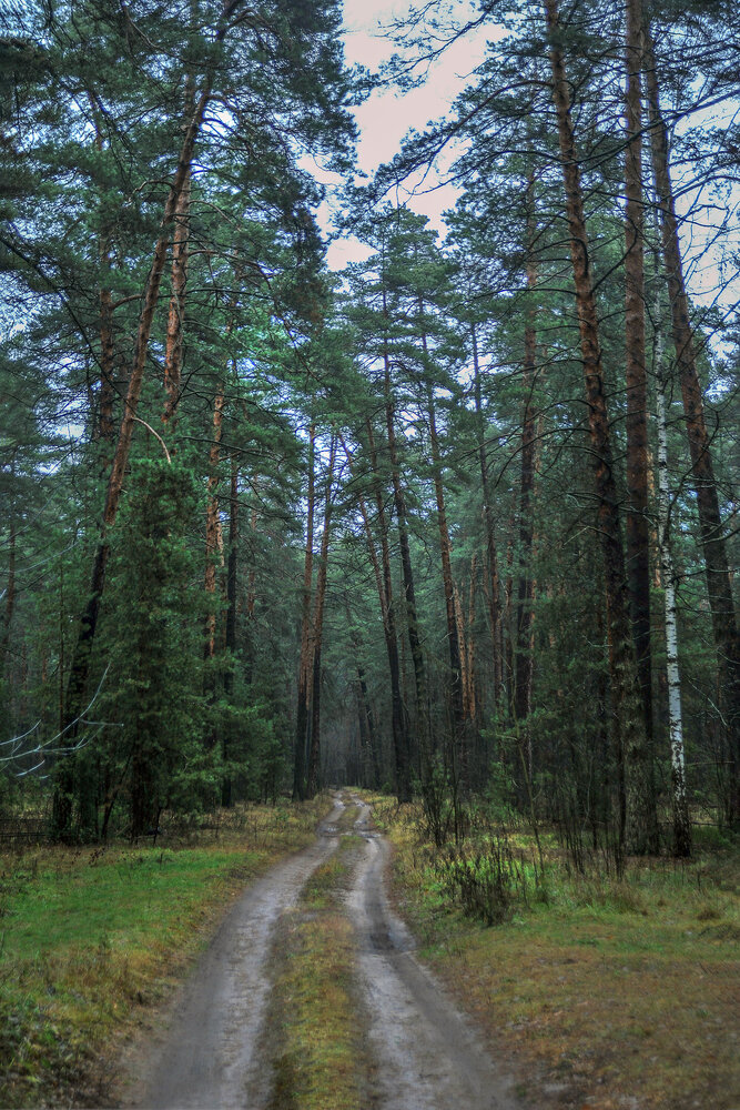 Photograph by Cергей Абакумов