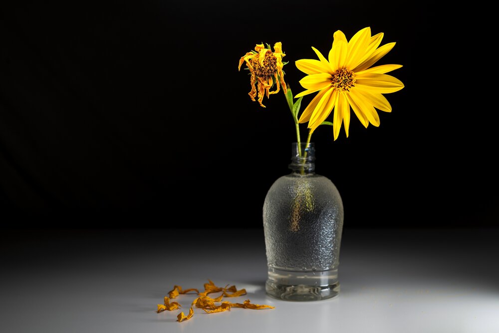 Photograph by Kveta Novotna