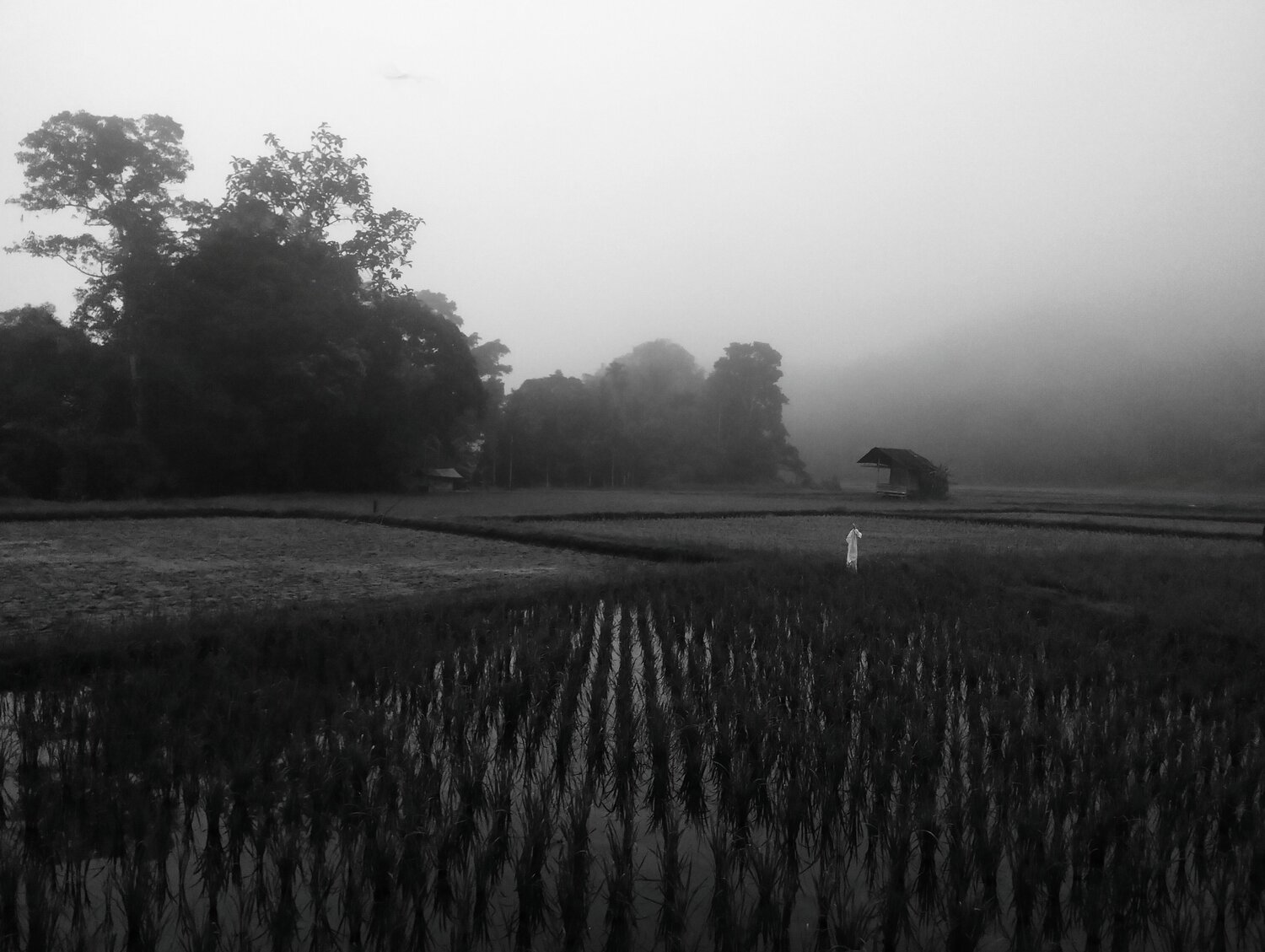 Photo #13811944