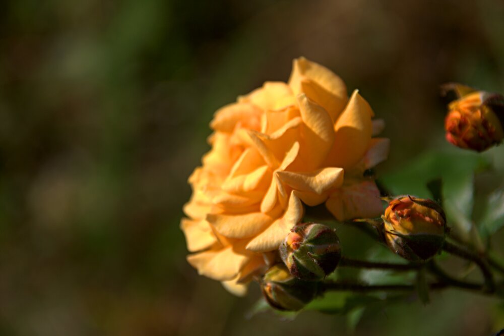 Photograph by Антон Корольков