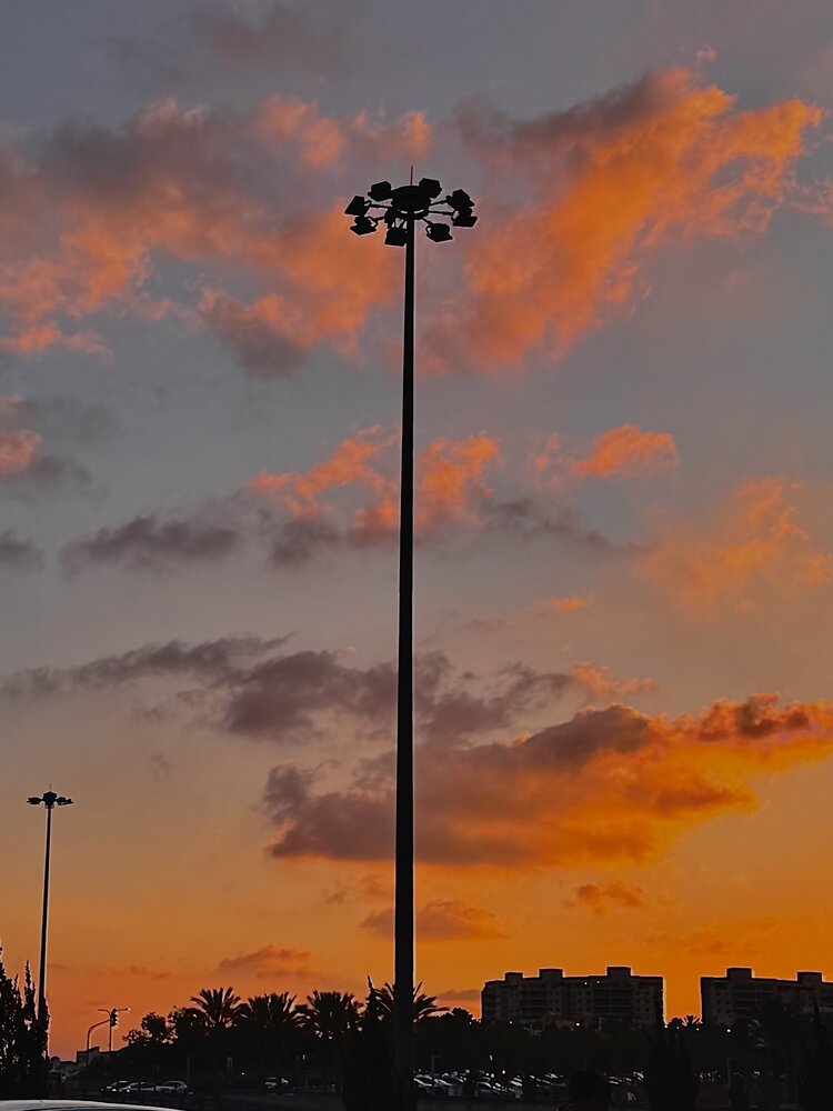 Photograph by Алла Киселева