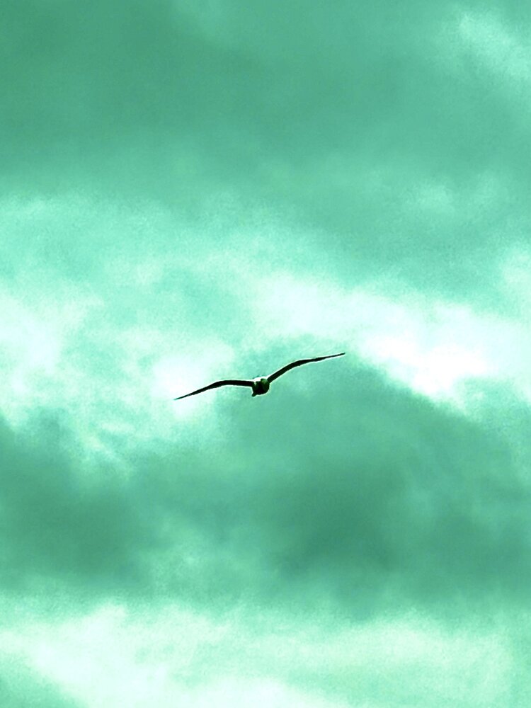 Photograph by Алла Киселева
