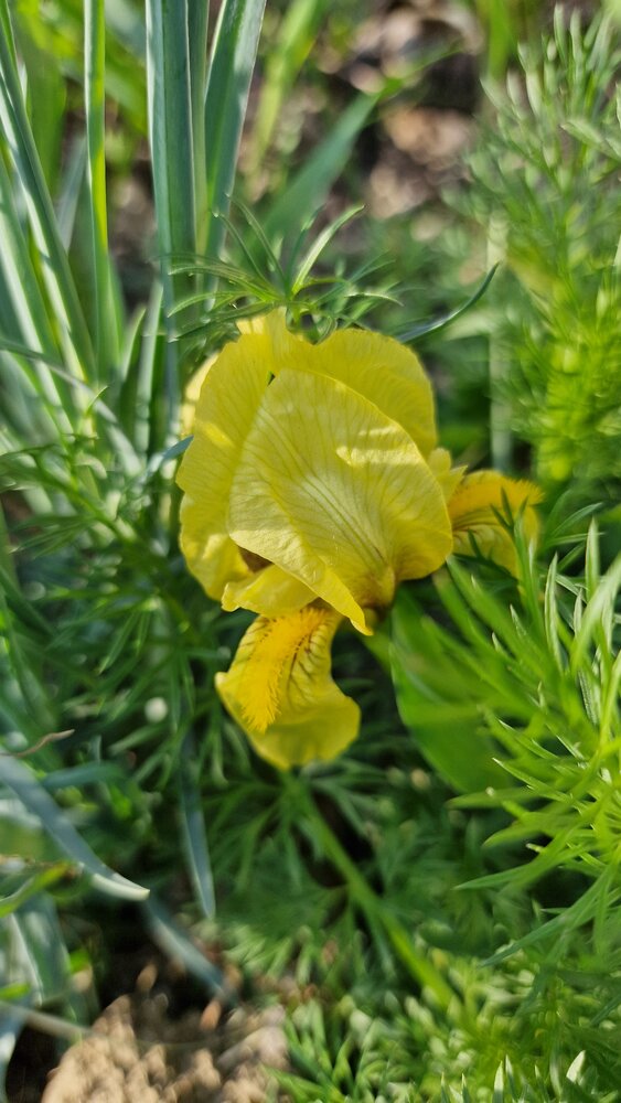 Photograph by Gemelina Opriș