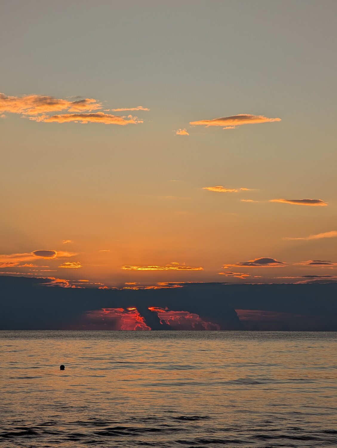 Photo #13812207